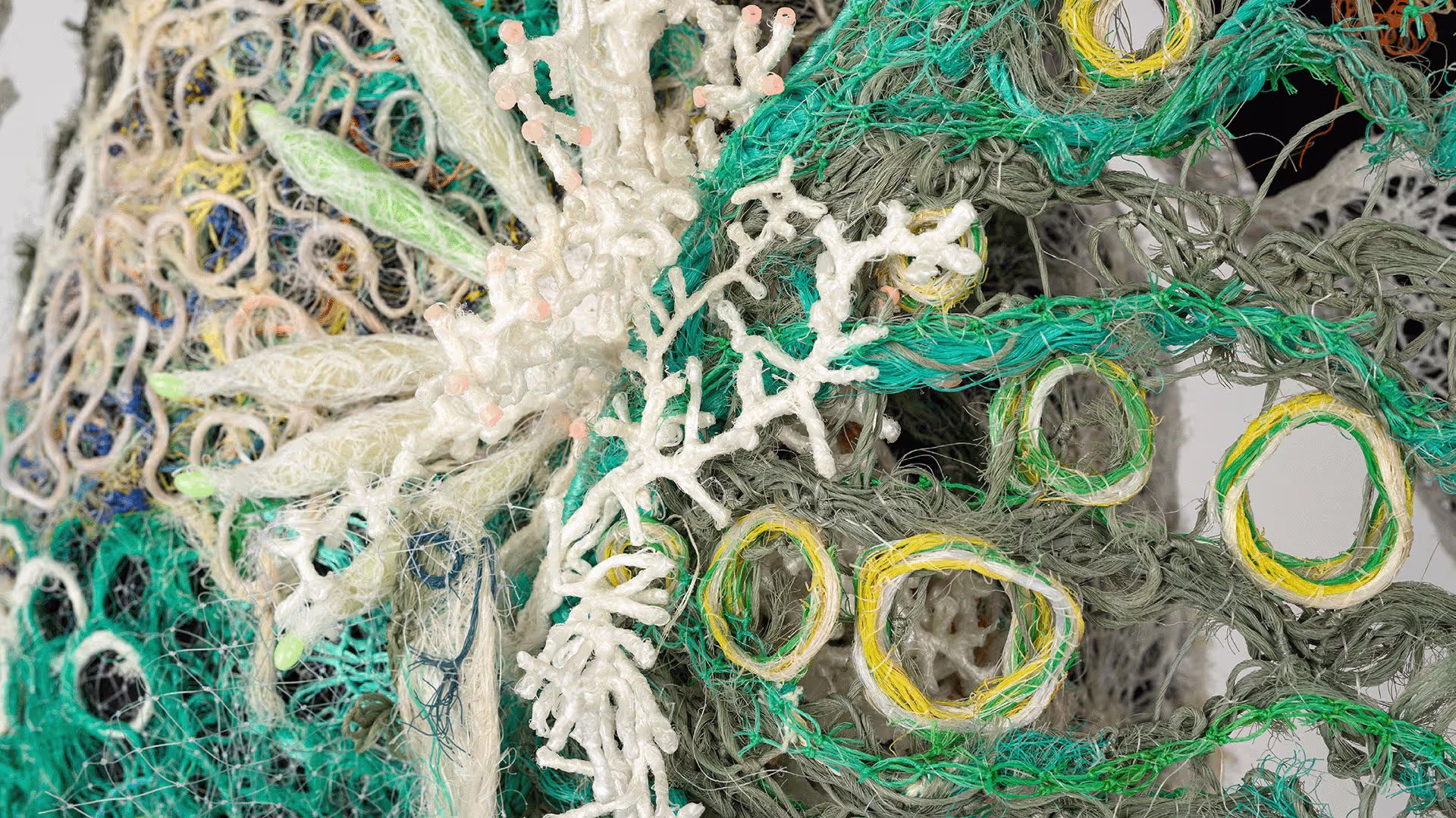 Birth of the Babel Fish, Lynnette Griffiths & Marion Gaemers, Australia